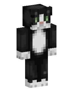 Black cat Minecraft skin