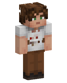Skin Minecraft Brown Haired White Shirt Boy