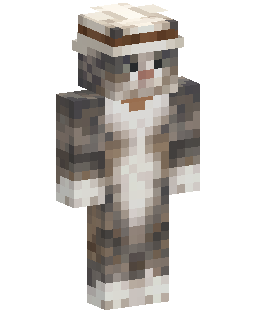 Funny Cat with Hat のMinecraftスキン