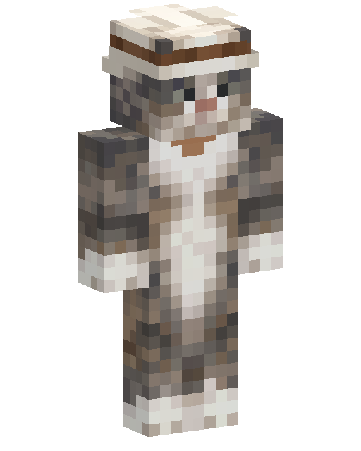 Funny Cat with Hat Minecraft 皮肤