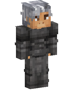Knight In Gray Armor Minecraft skin