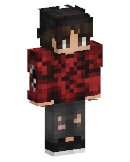 Red Plaid Hoodie Boy Minecraft skin