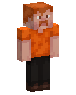 Skin Minecraft Bridgenation