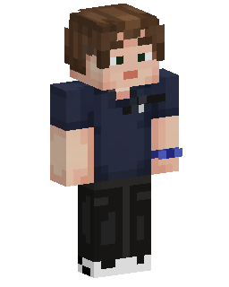 Skin Minecraft Dams