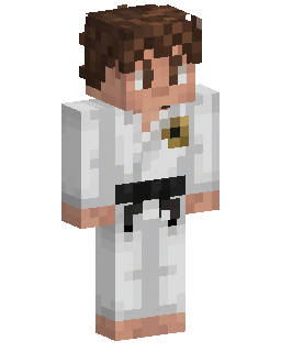 Karate Fighter Minecraft skin