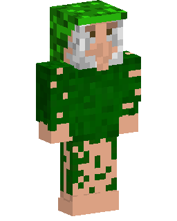 Skin Minecraft Brr Brr Brr Patapim