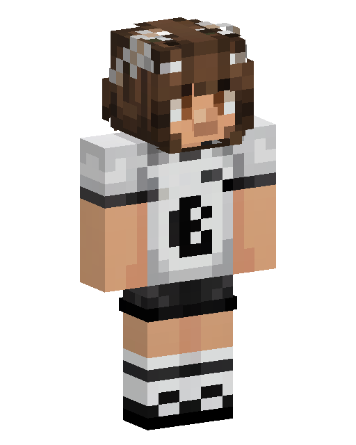 Minecraft-Skin Sports Player