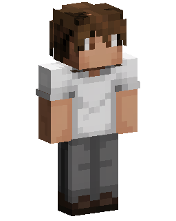 Brown Haired Boy Minecraft 스킨